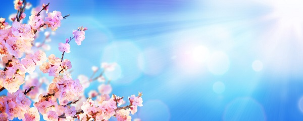 戰(zhàn)疫情，北京韋林公司全體員工齊心協(xié)力共克時艱！